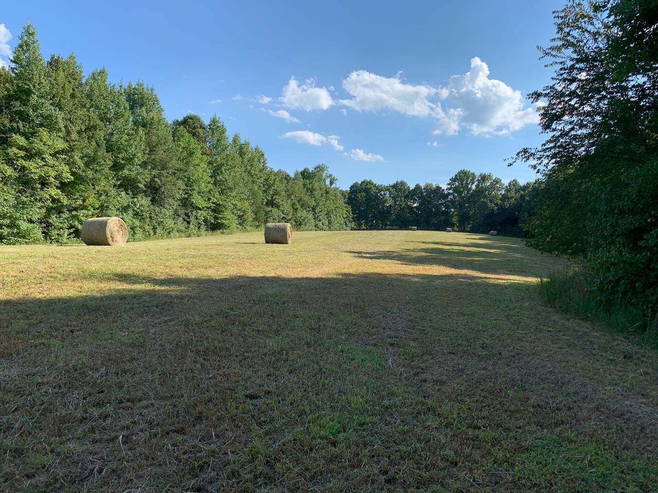 4647 Cowhorne Hollow Rd - Photo 1
