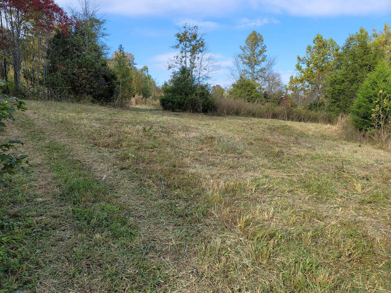 0 Tinin Rd - Photo 1