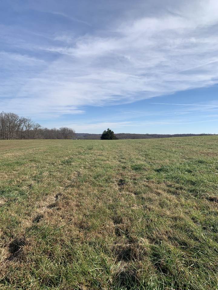1732 Old Gallatin Rd - Photo 1