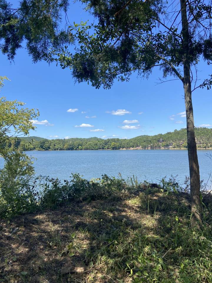 1236 River Front Drive - Photo 1