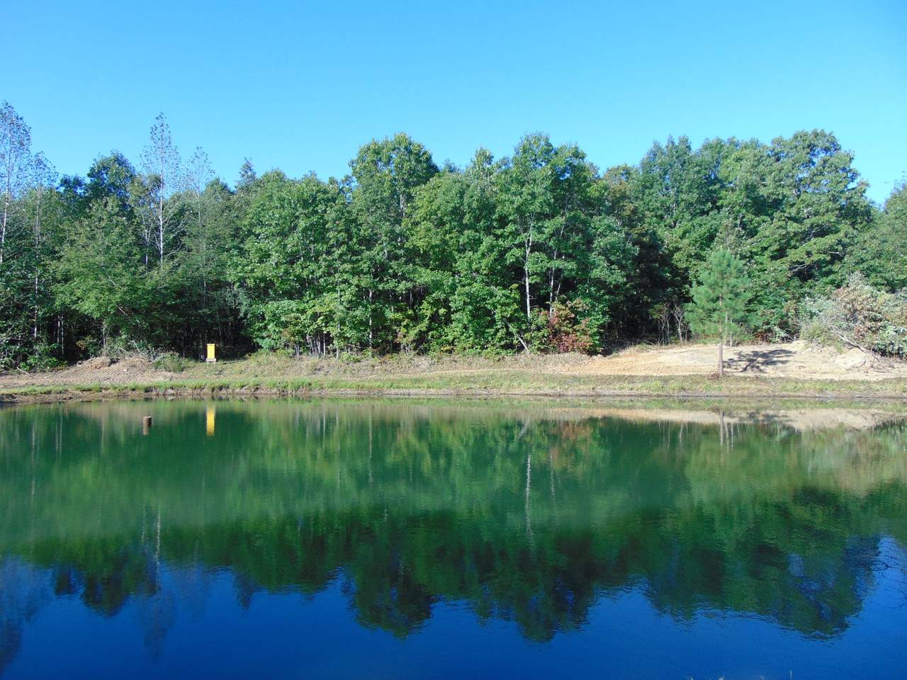 0 Pine Lake Rd - Photo 1