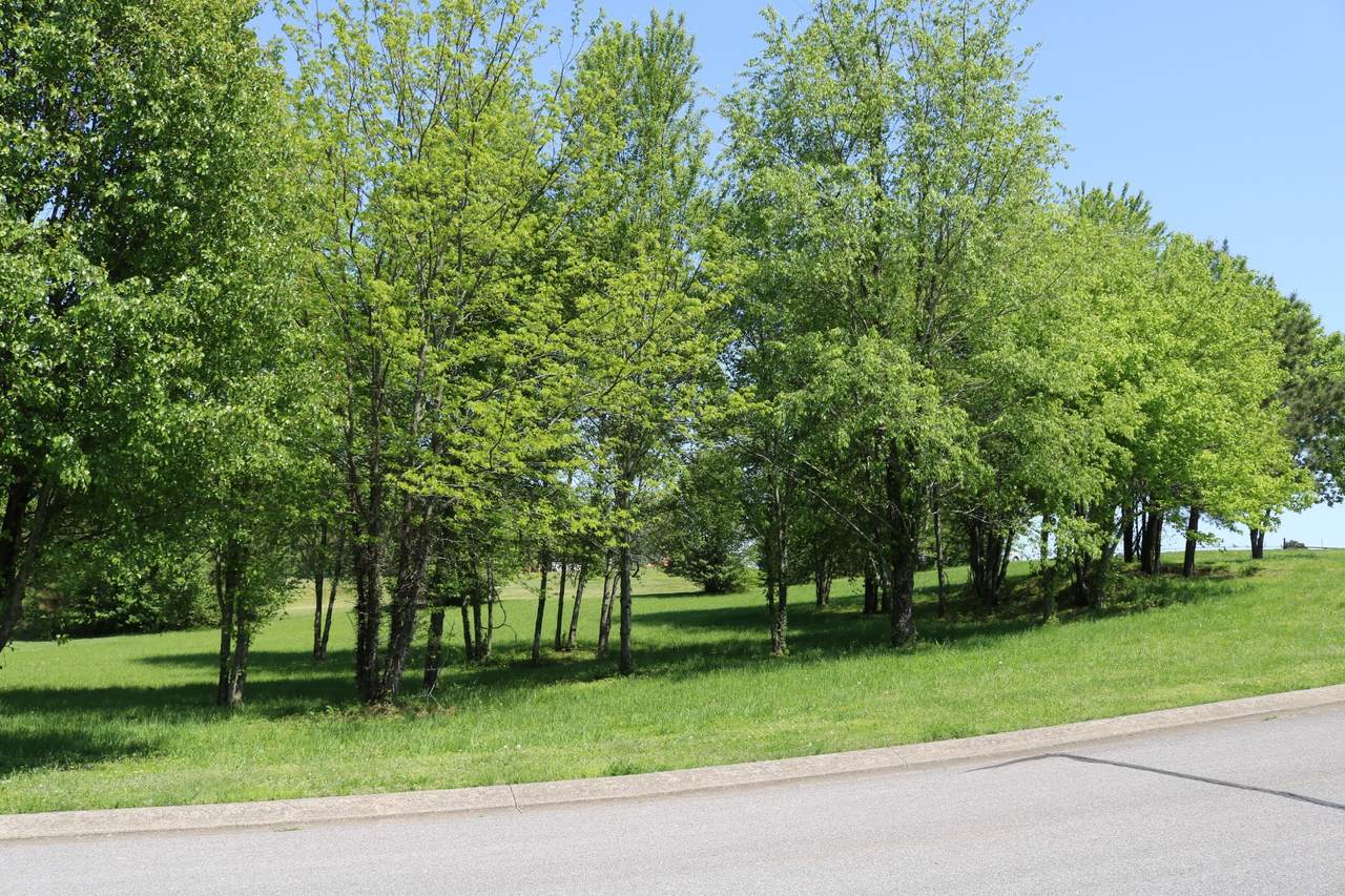 0 Country Club Dr - Photo 1