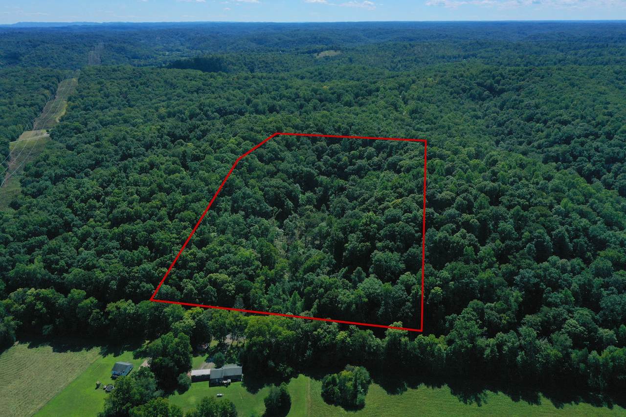 24 Davidson Rd - Photo 1