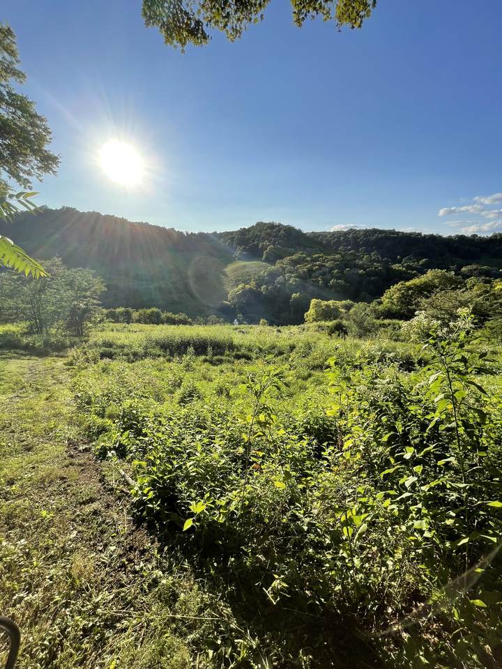 0 Nabors Hollow Ln - Photo 1