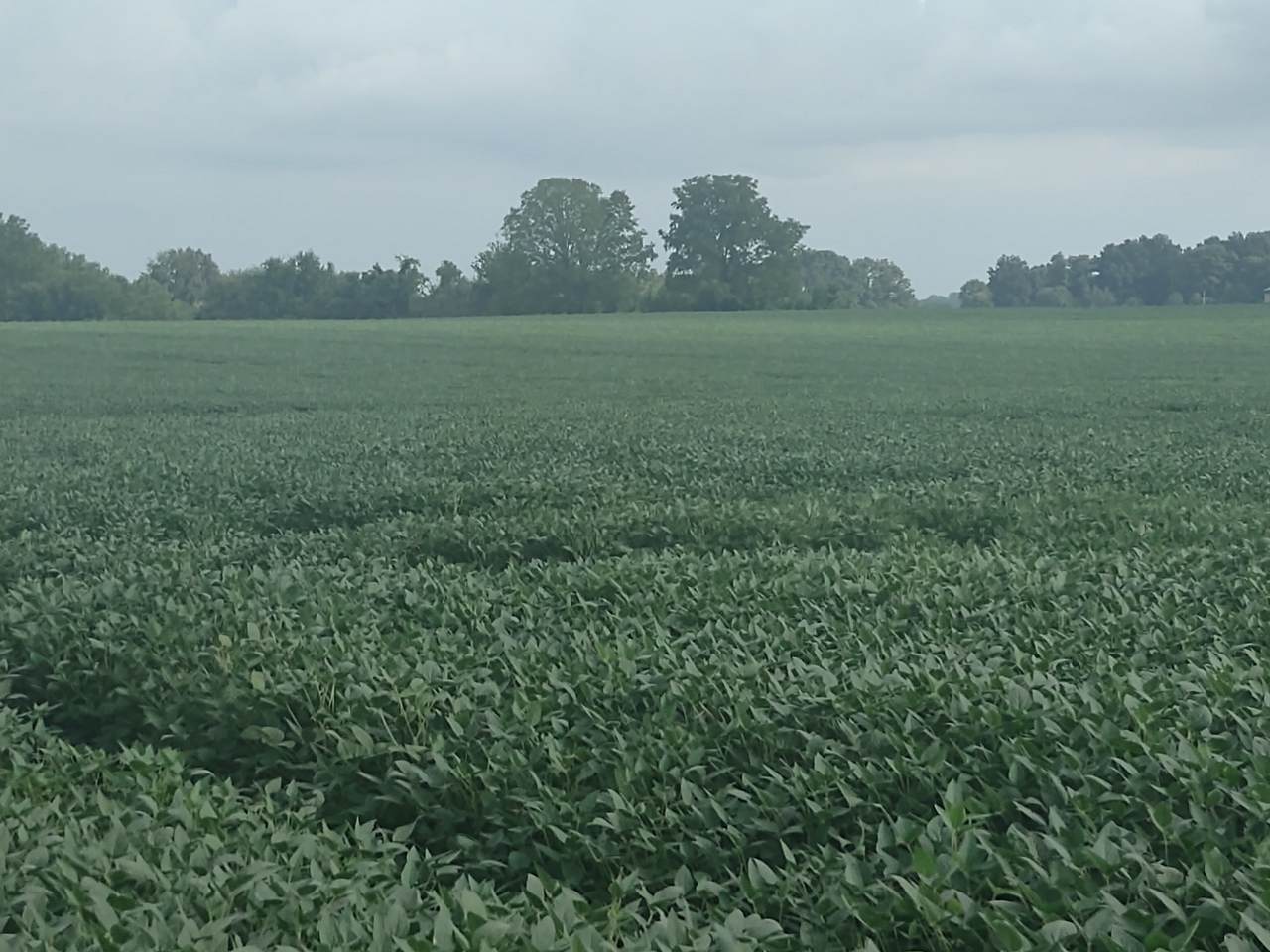 0 Dot Road - Photo 1