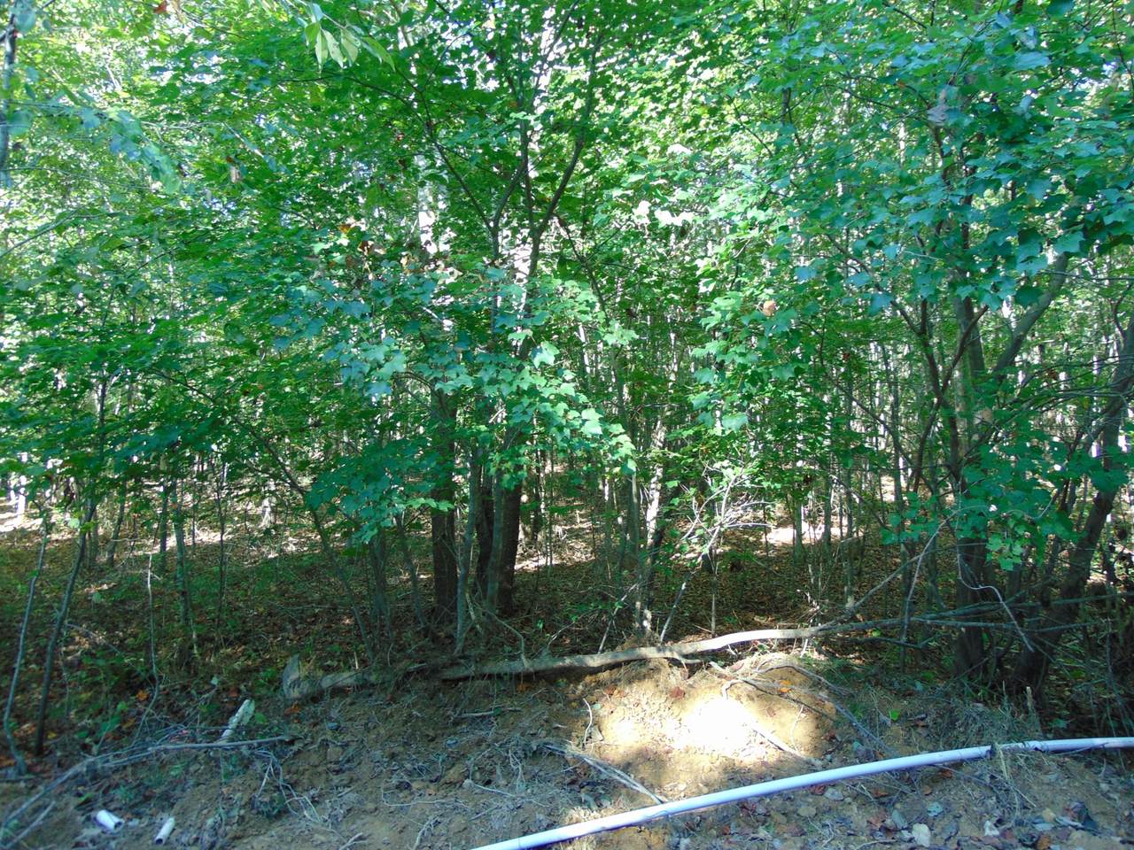 0 Pine Lake Rd - Photo 1