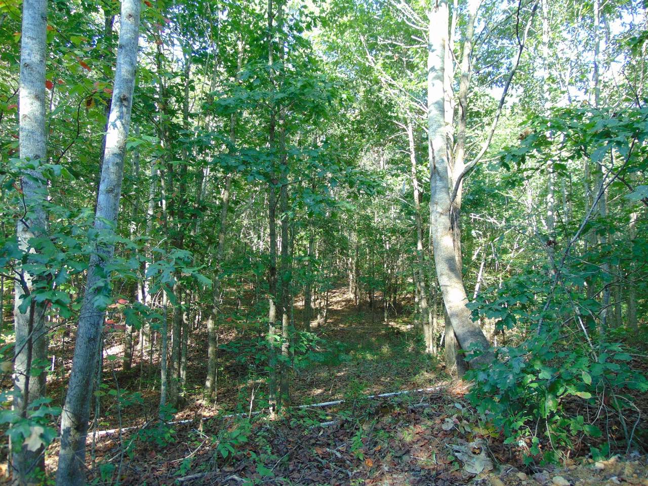 0 Pine Lake Rd - Photo 1