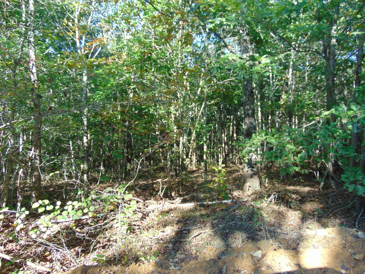 0 Pine Lake - Photo 1