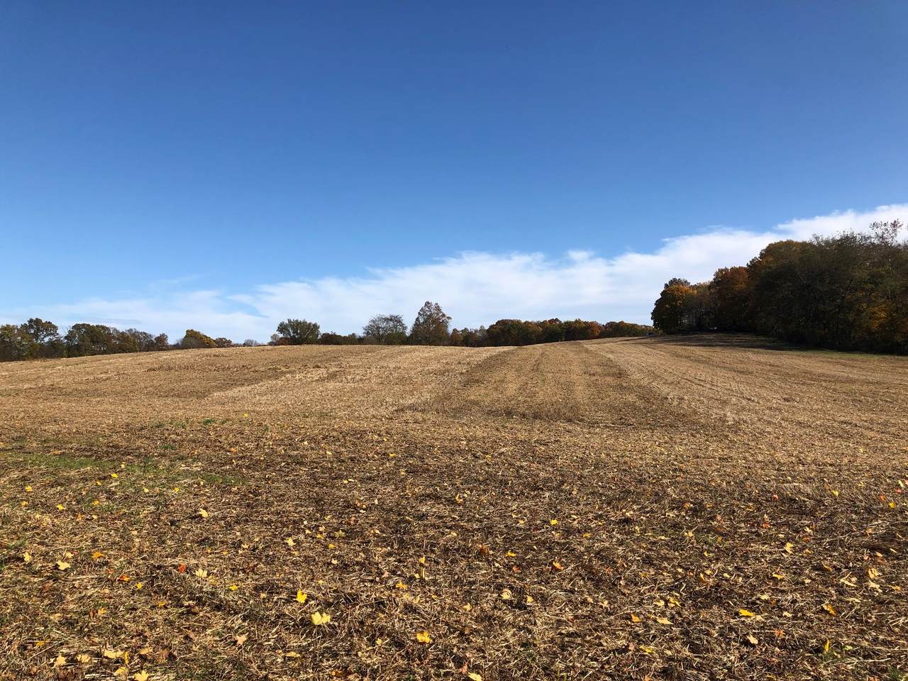 0 Red River School Rd - Photo 1