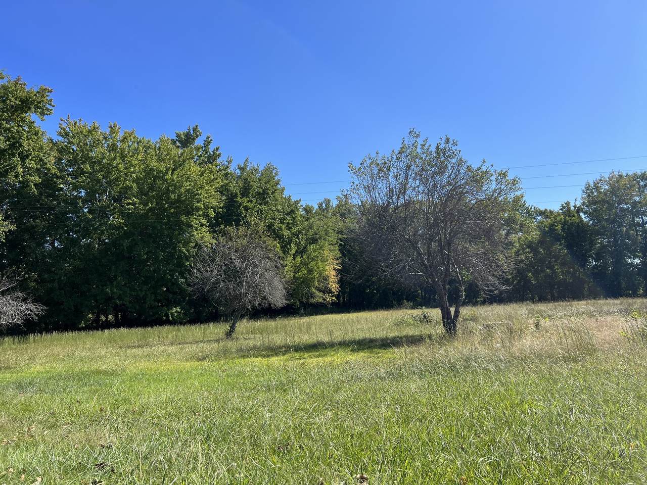 8098 Shellsford Rd - Photo 1