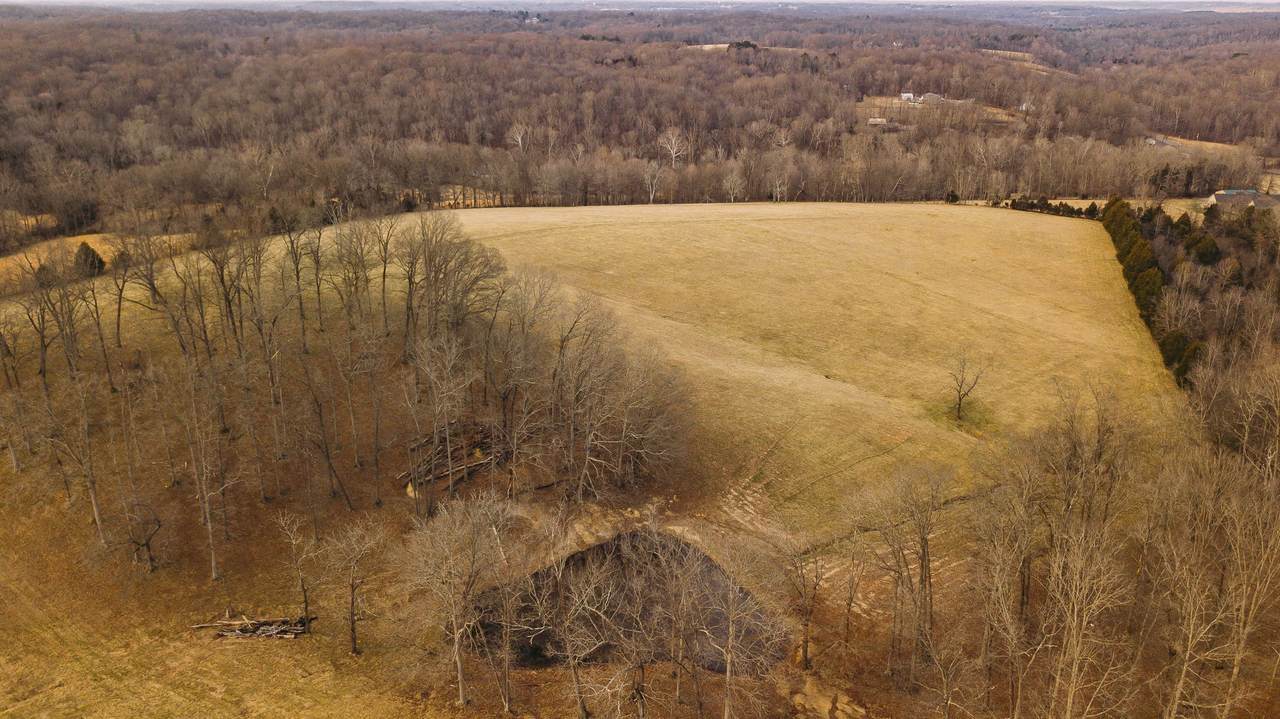 0 Old Gallatin Rd - Photo 1