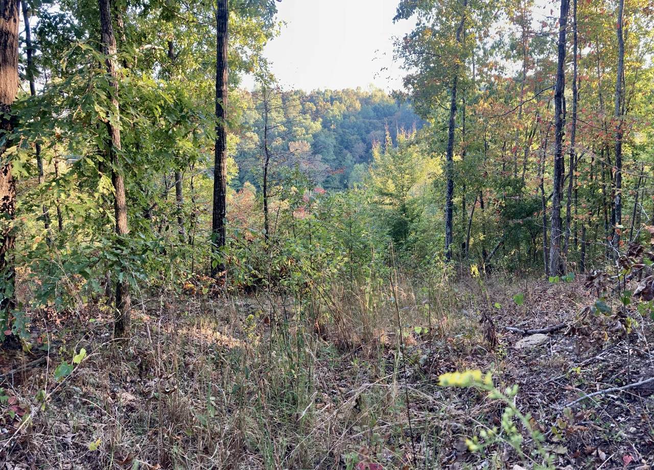0 Gimlet Creek Rd - Photo 1