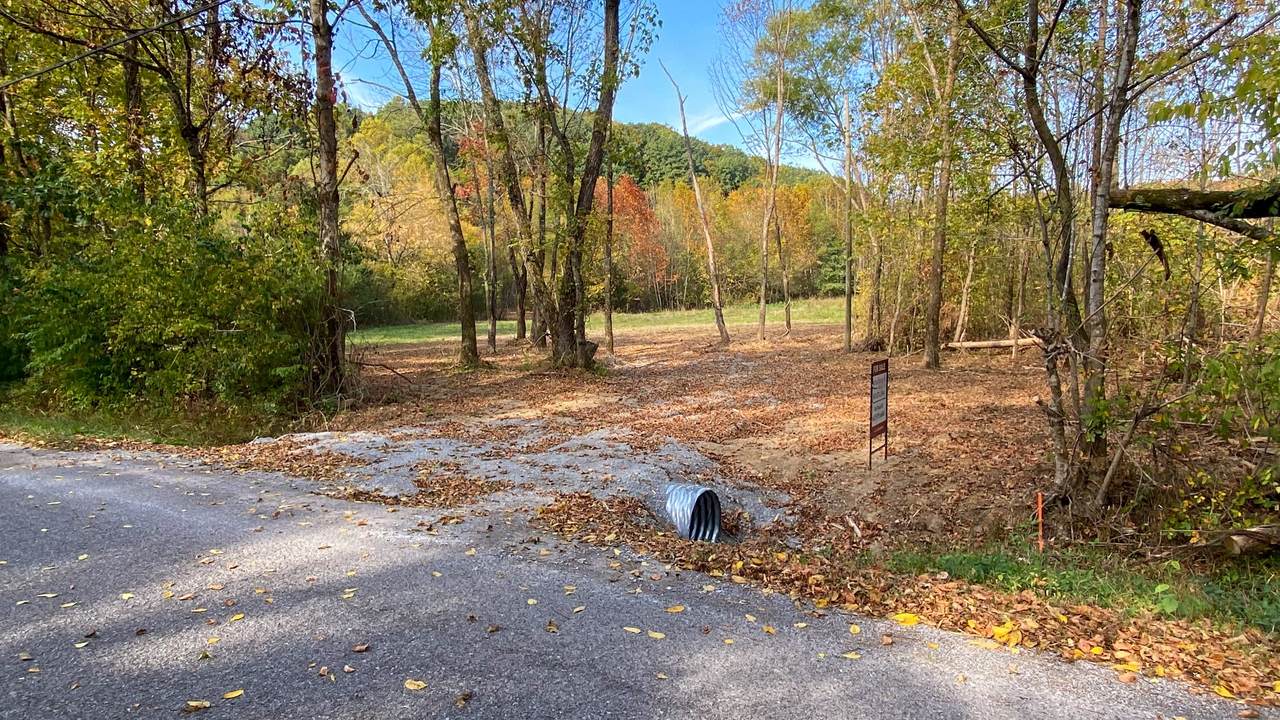 650 Lindsey Hollow Rd - Photo 1