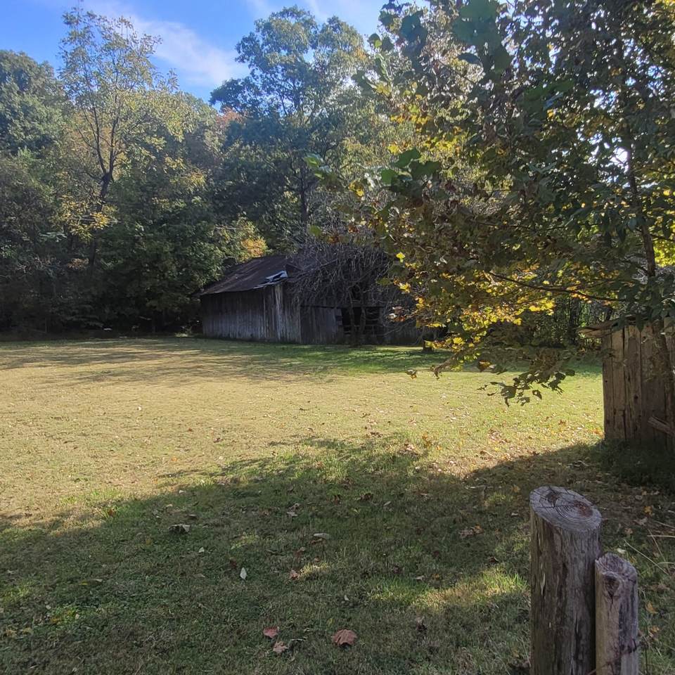 0 Wilkins Branch Rd - Photo 1
