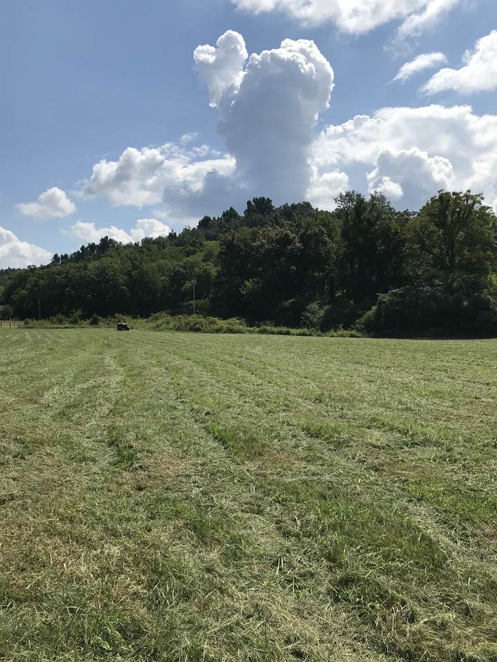 0 Happy Valley Rd - Photo 1