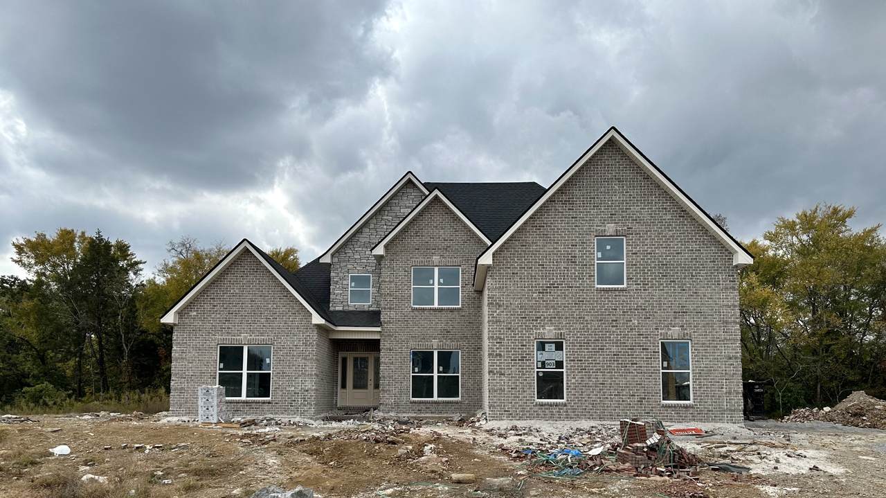 903 Brileigh Mae Pass - Photo 1
