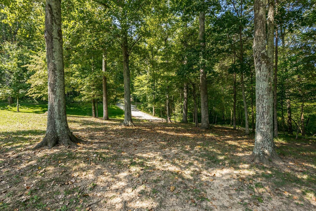 439 Mount Vernon Rd - Photo 1