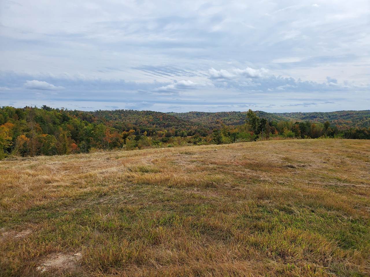 0 Hwy 128 - Photo 1