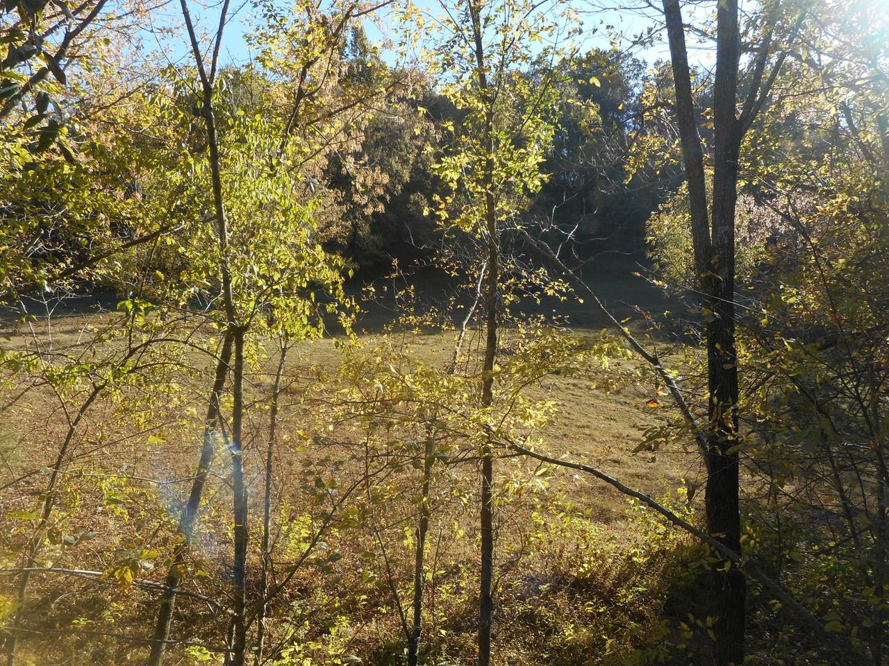 0 Lynnville Hwy - Photo 1