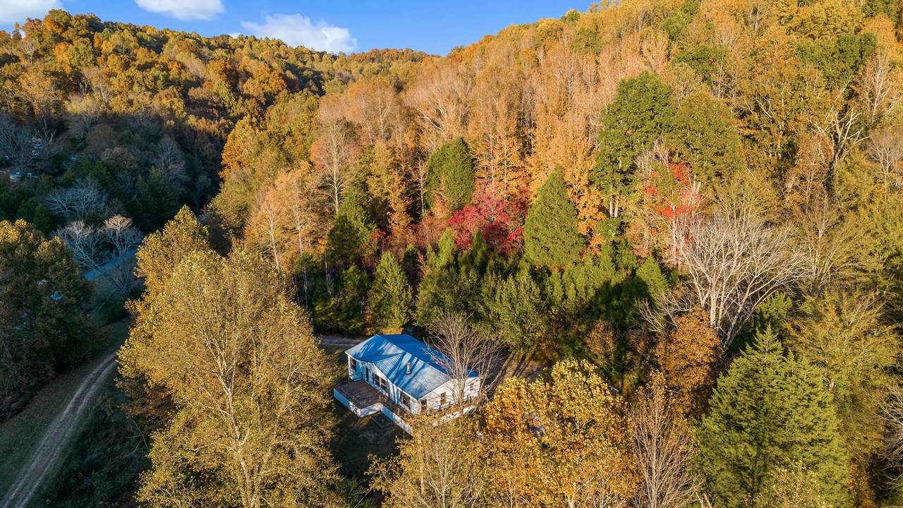 726 Rogues Fork Rd - Photo 1
