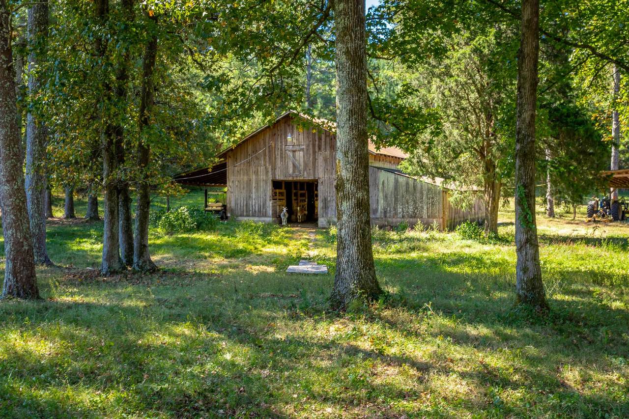 206 Childress Hollow Rd - Photo 1