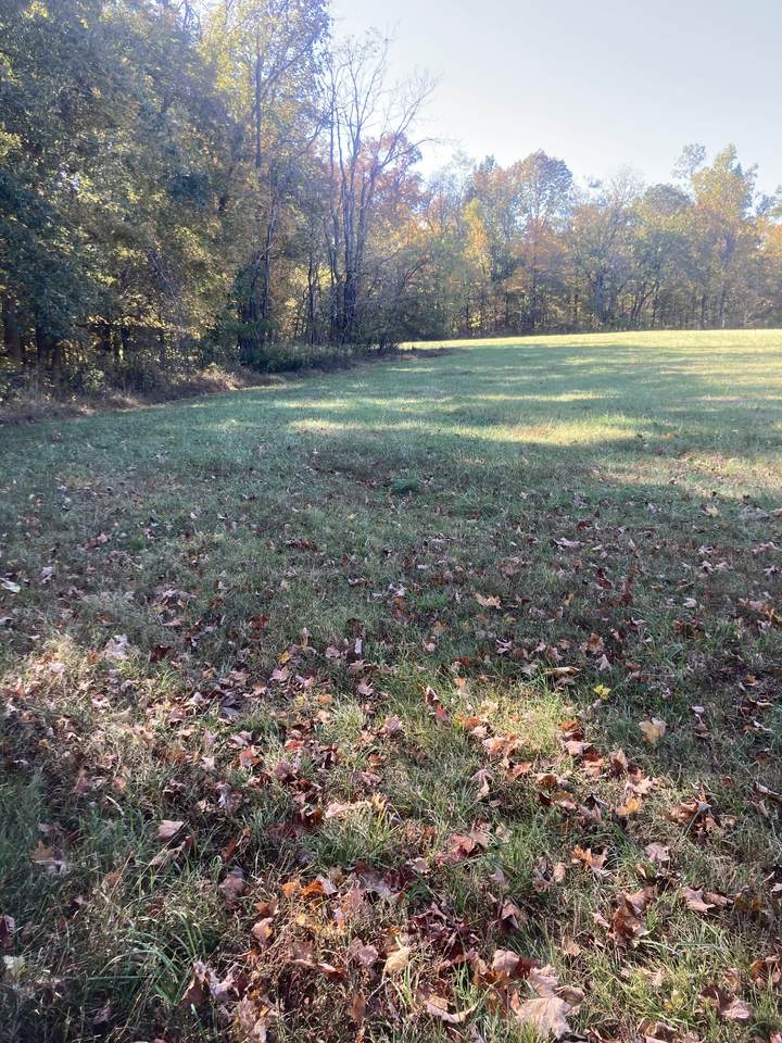 0 Knob Creek Road - Photo 1