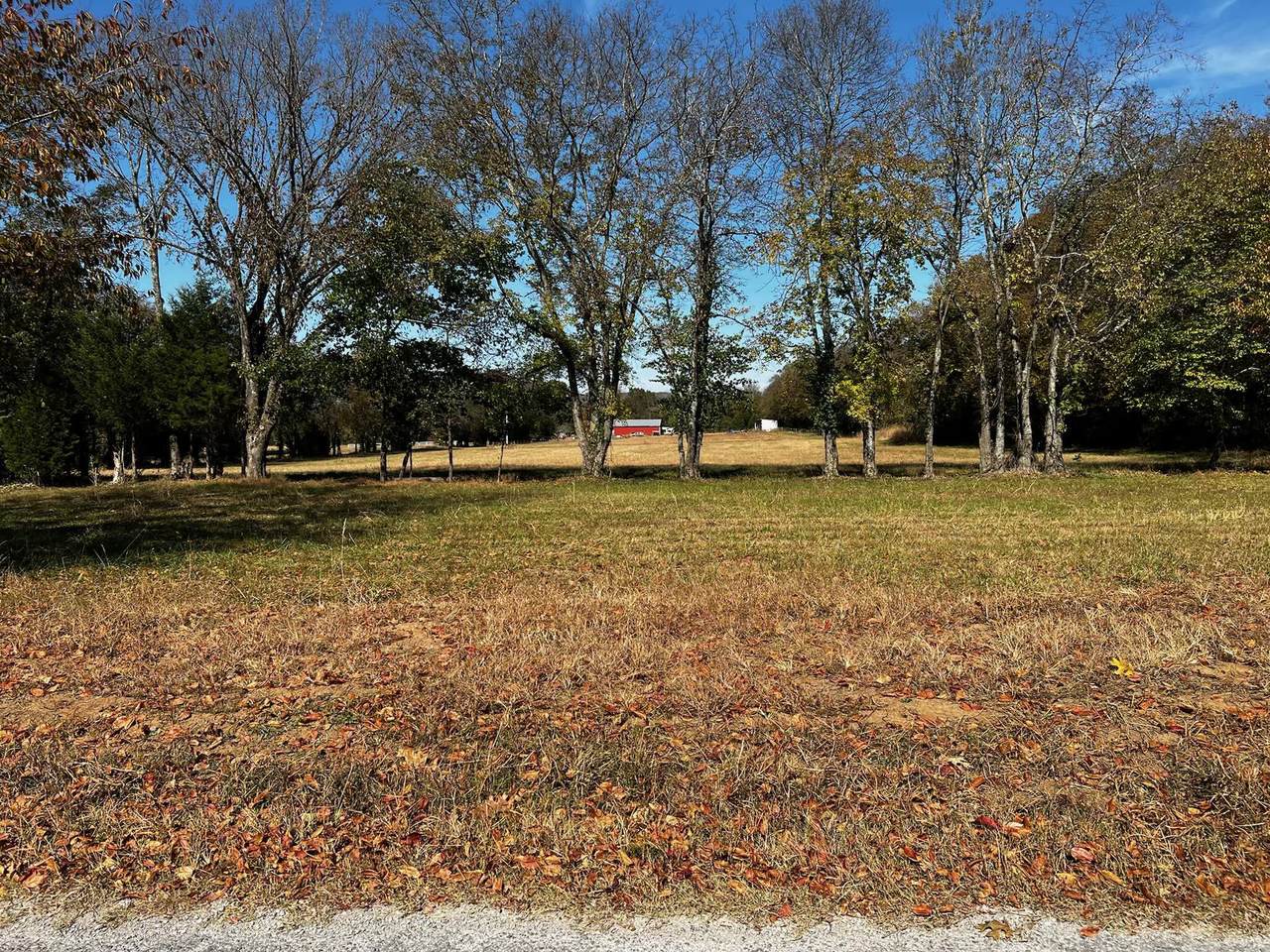 4123 Buck Matthews Rd - Photo 1