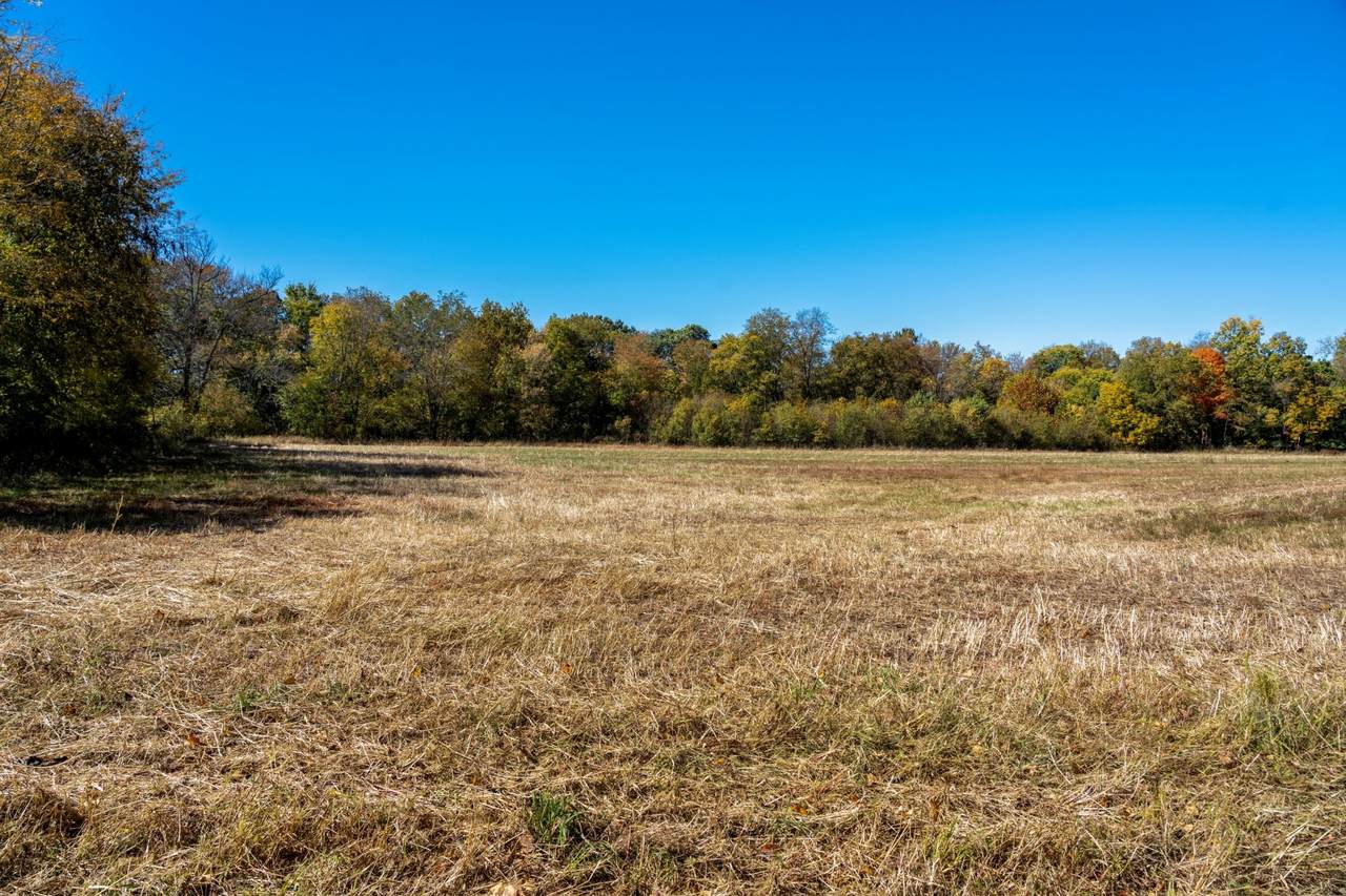 0 Red River School Rd - Photo 1