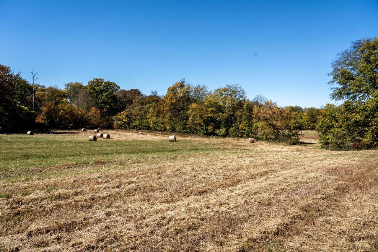0 Red River School Rd - Photo 1
