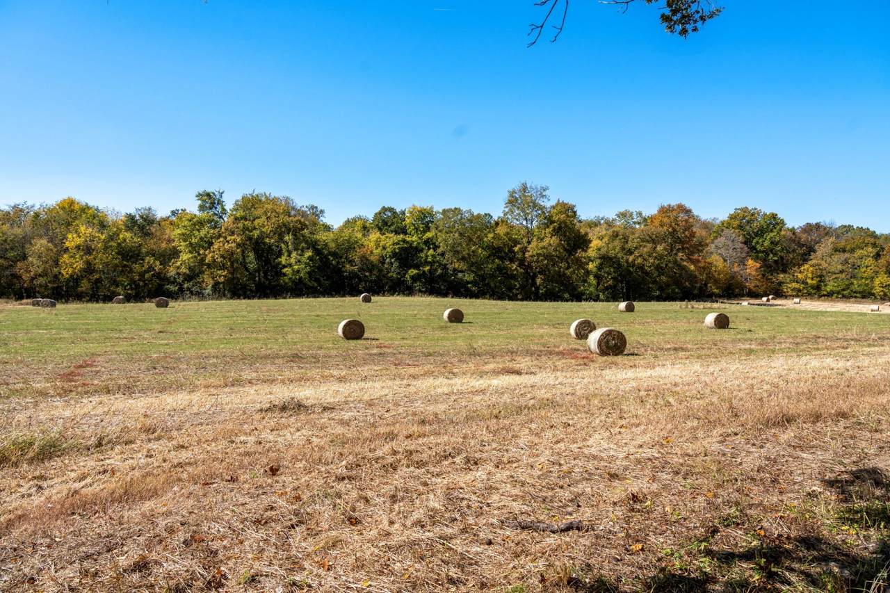 0 Red River School Rd - Photo 1