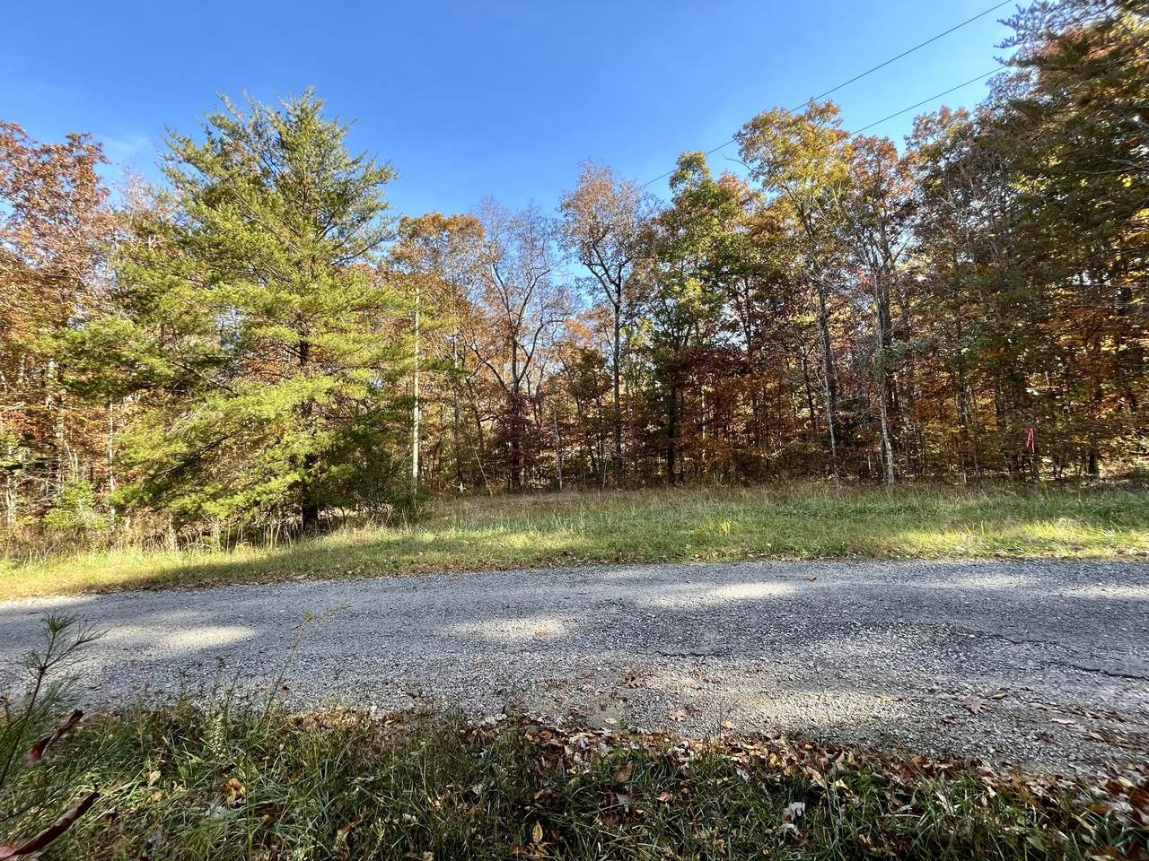 0 Connely Dr - Photo 1