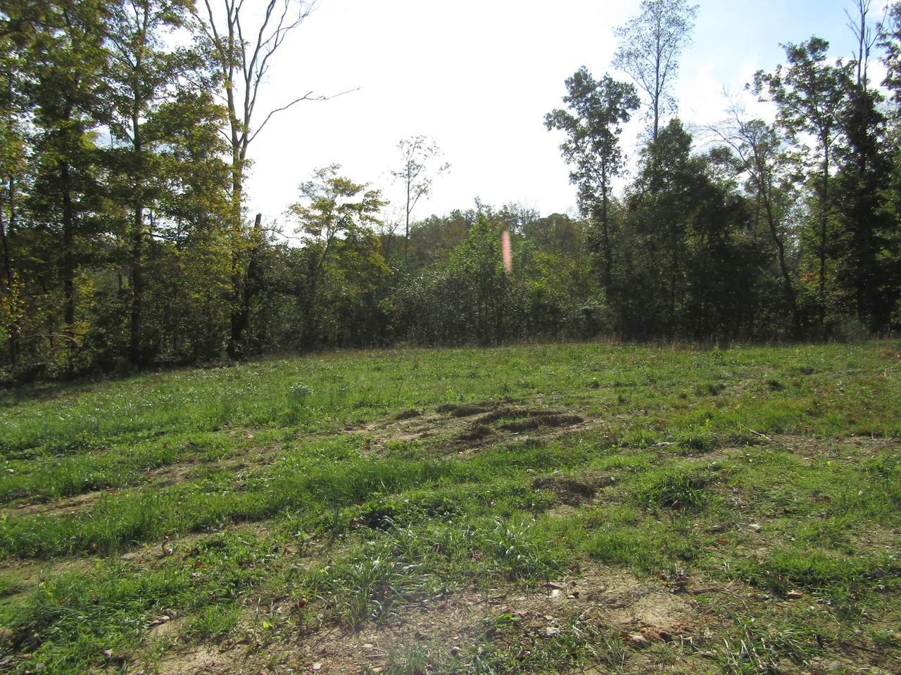30 .10 Ac. Livingston Hwy - Photo 1
