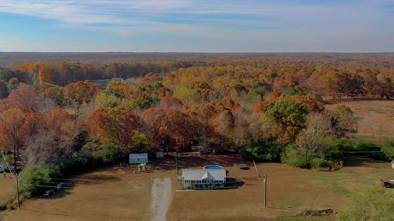 7367 Taylor Rd - Photo 1