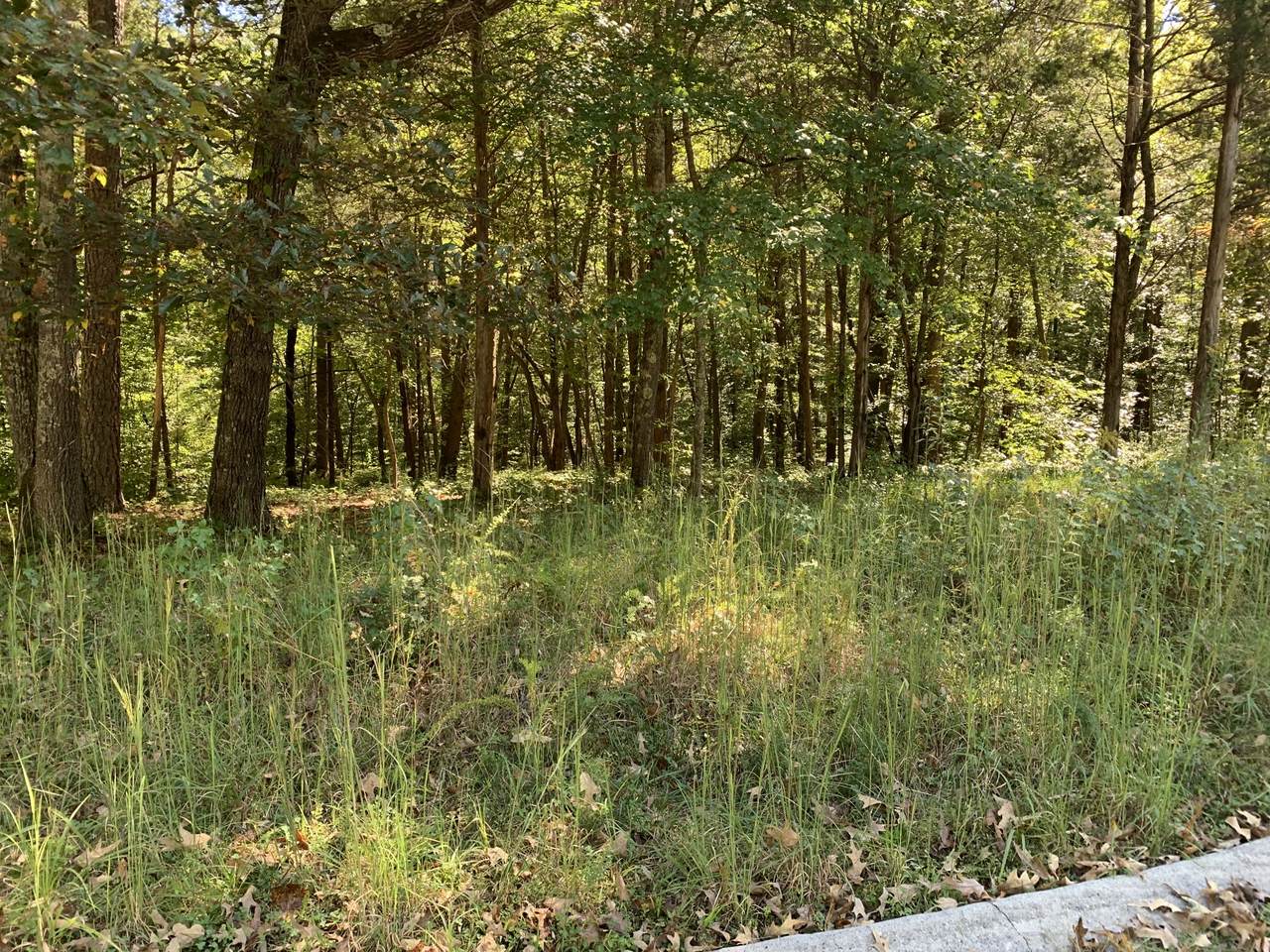 0 Nature Ridge Rd - Photo 1