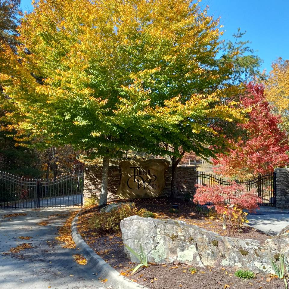 310 Timberwood Trce. - Photo 1