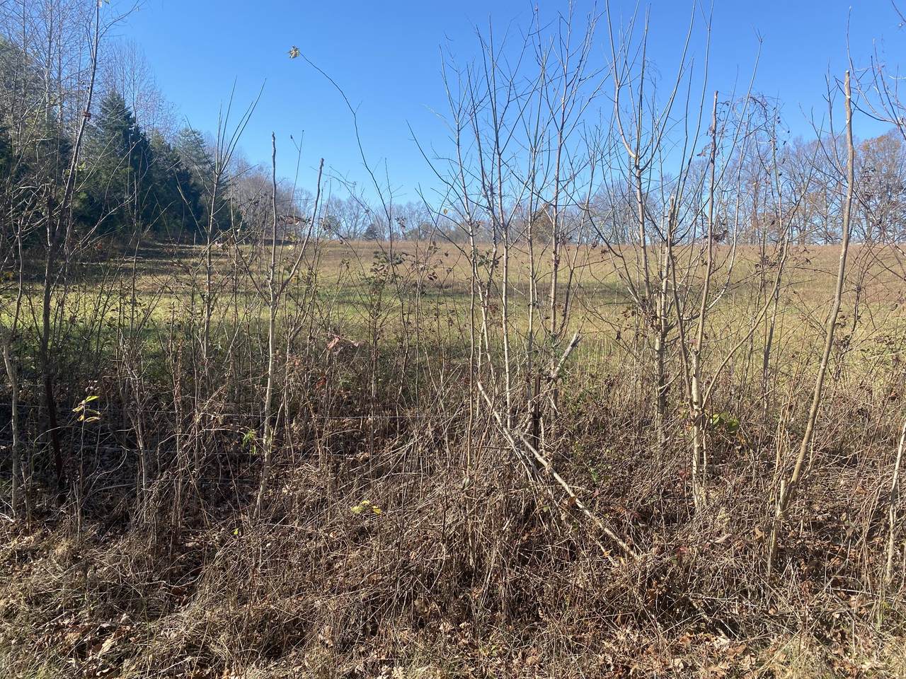 0 New Hope Rd - Photo 1
