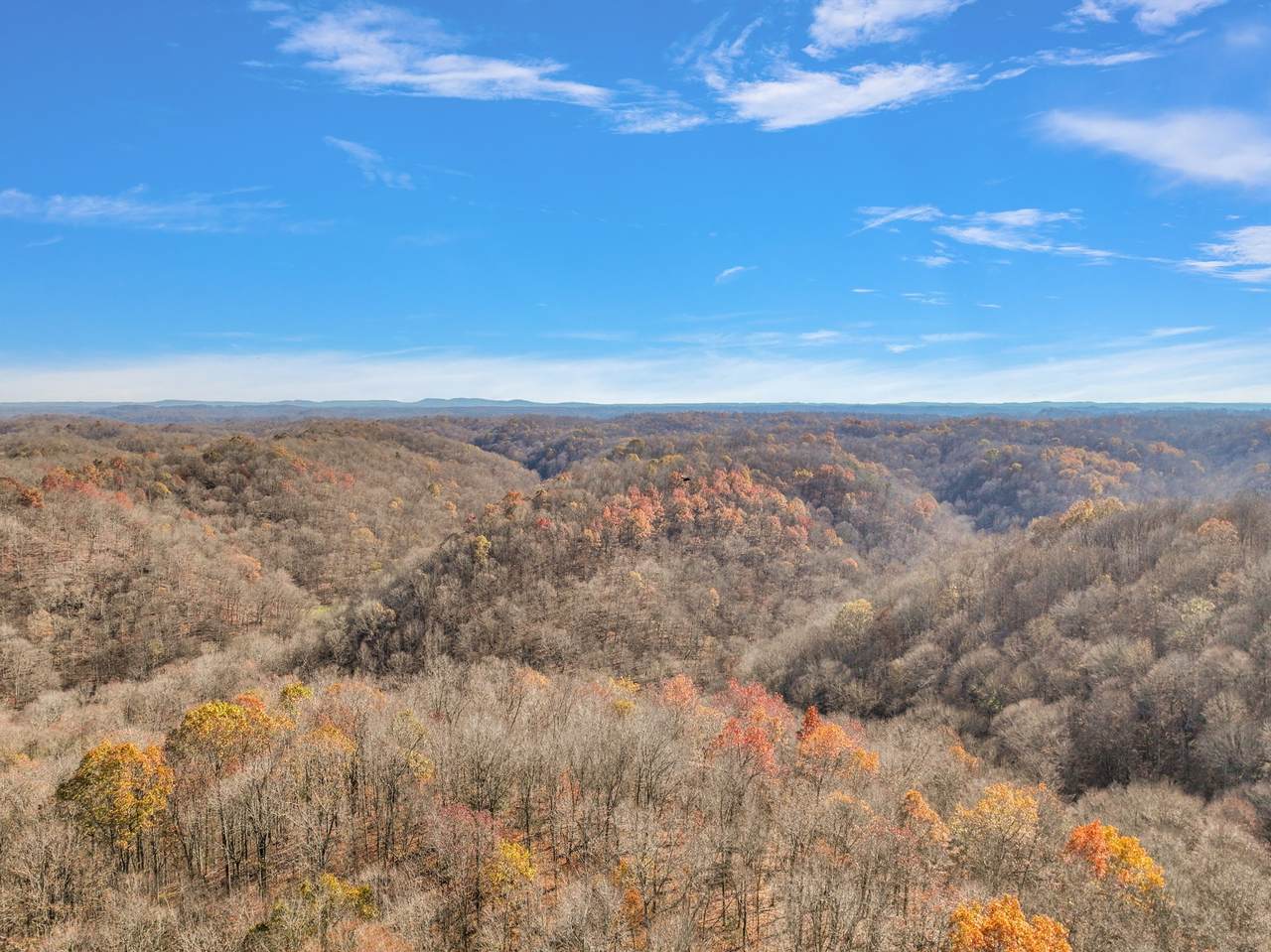 0 N Of Knob Creek Road - Photo 1