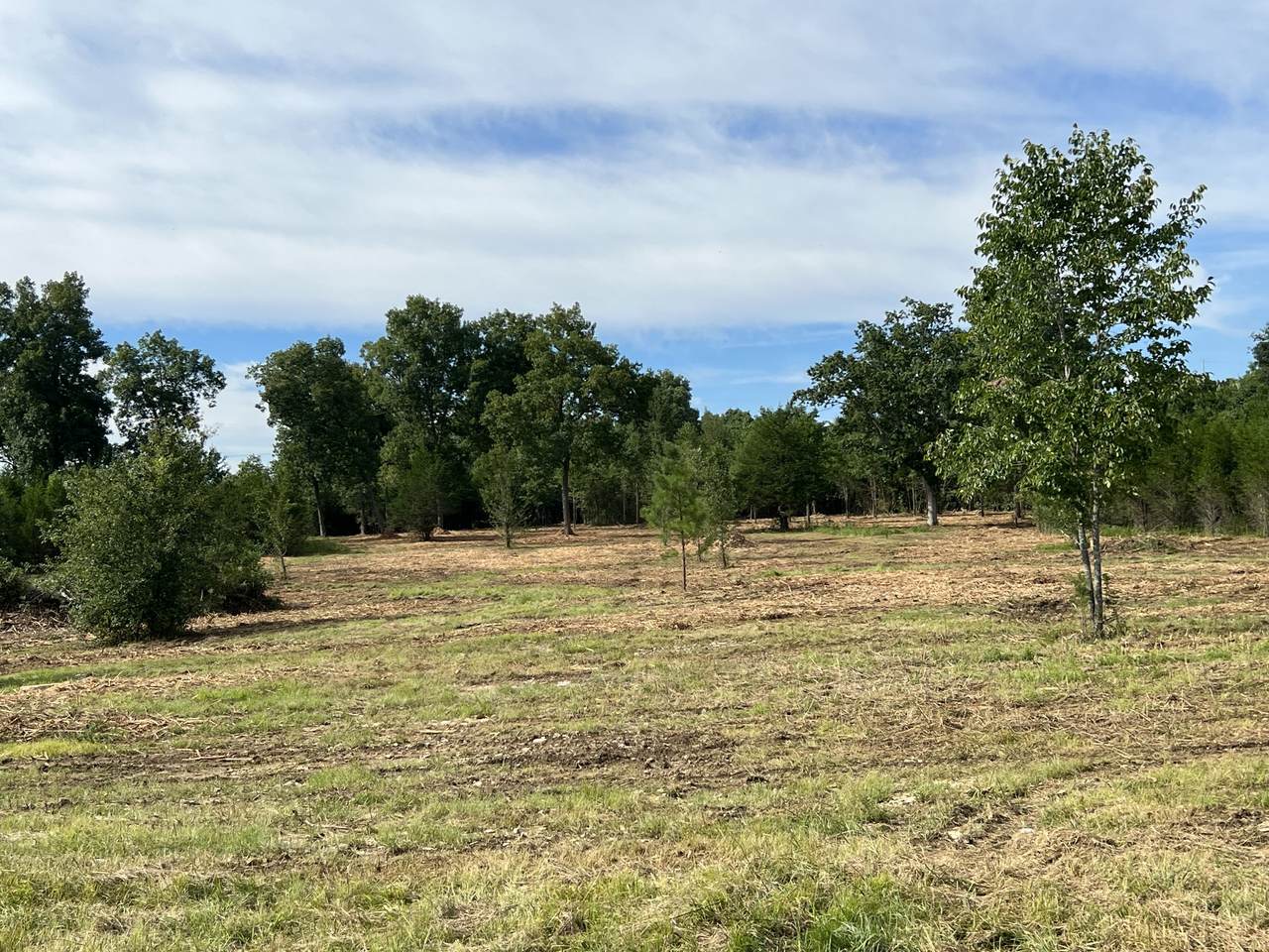 0 Wartrace Pike - Photo 1