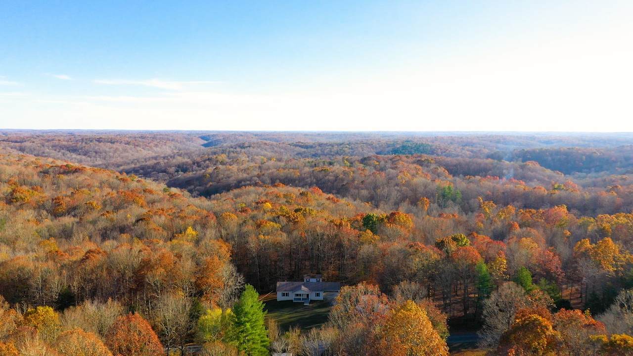 1016 Peery Rd - Photo 1