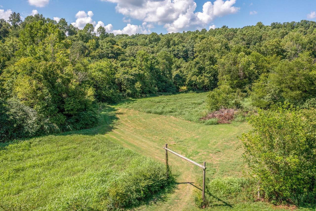 0 Patrick Rd - Photo 1