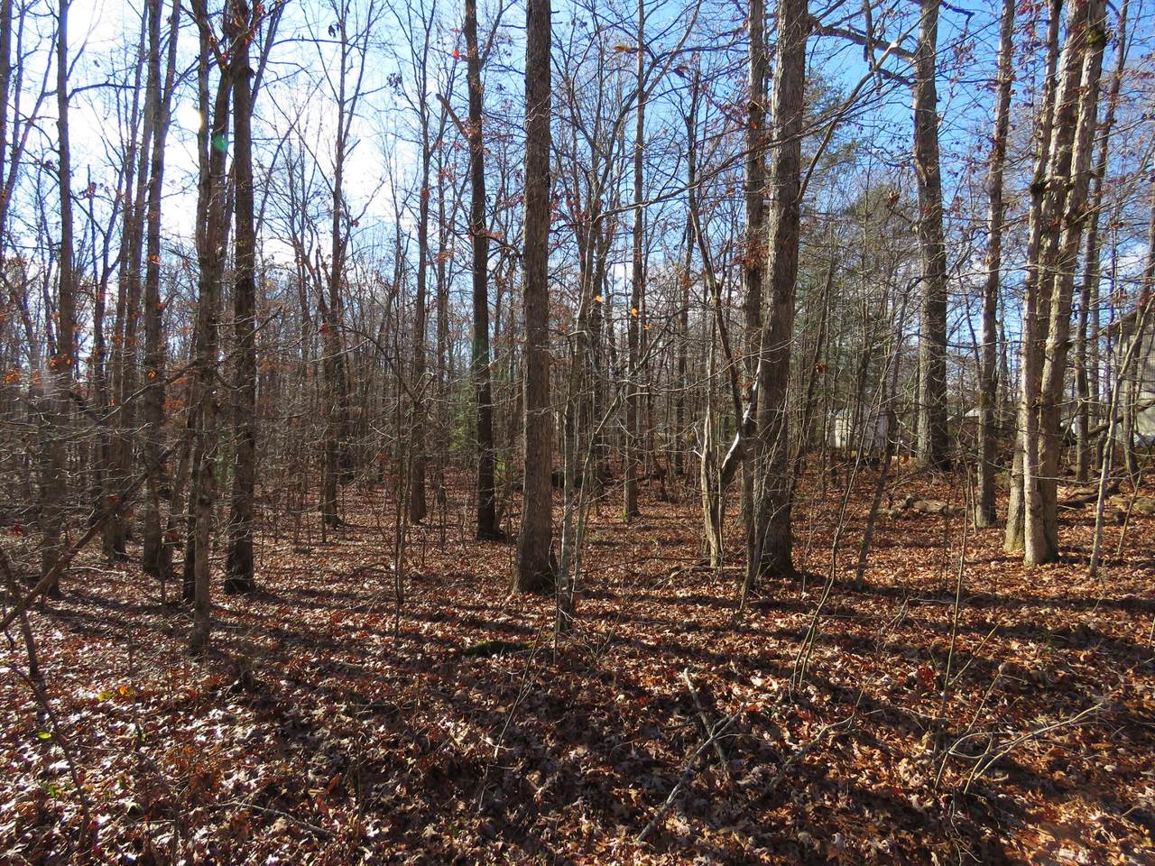 6248 Osage Rd - Photo 1