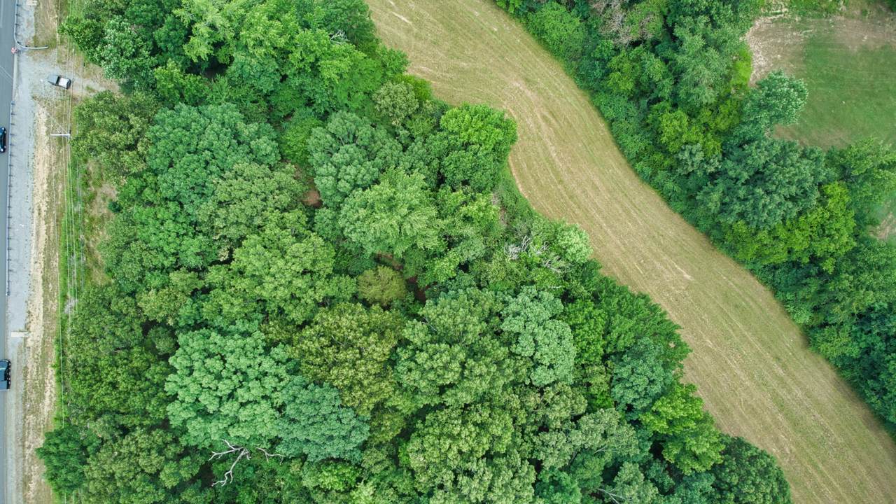 0 Highway 79 Tn - Photo 1