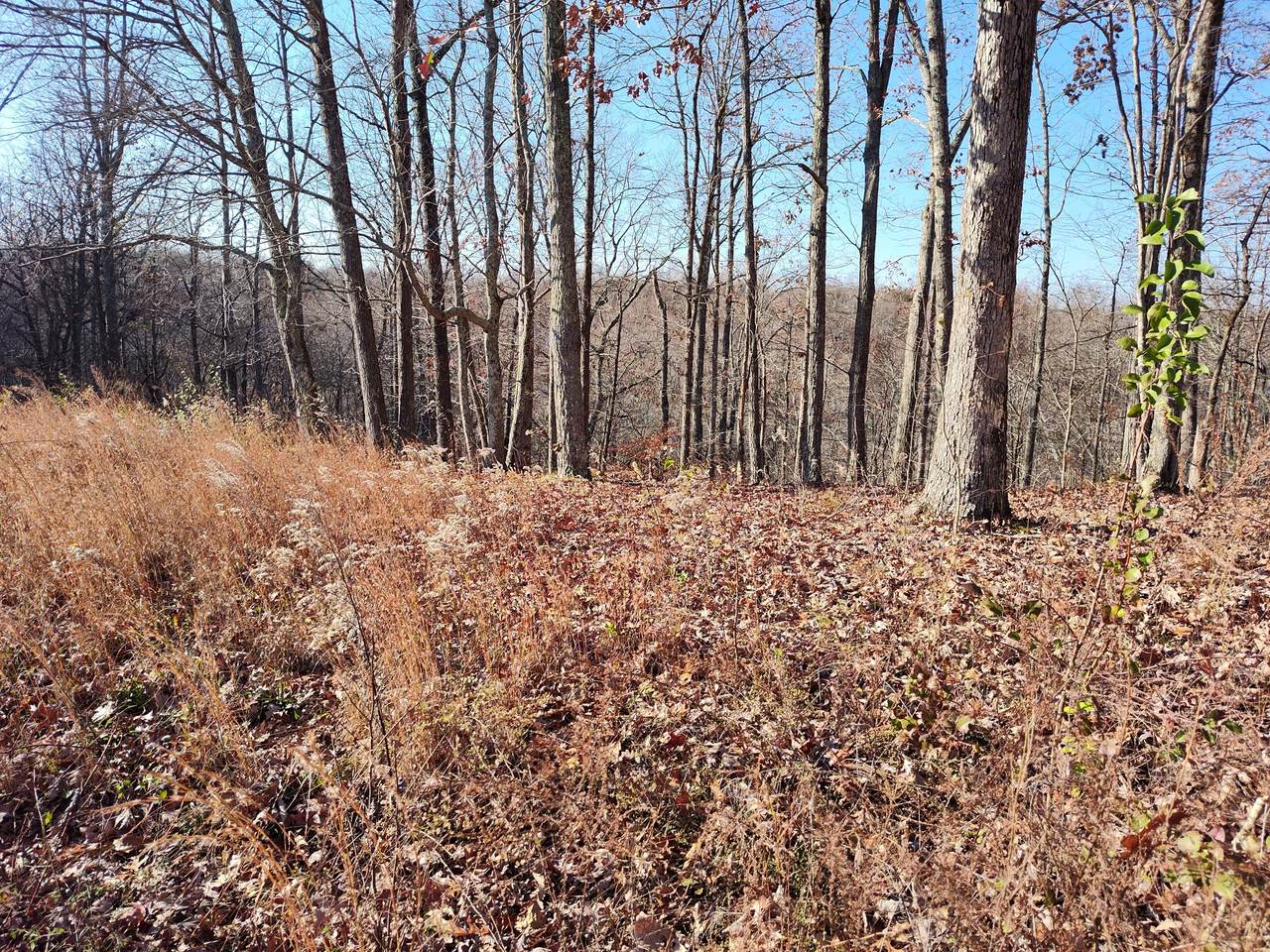 28 Shiloh Lane - Photo 1