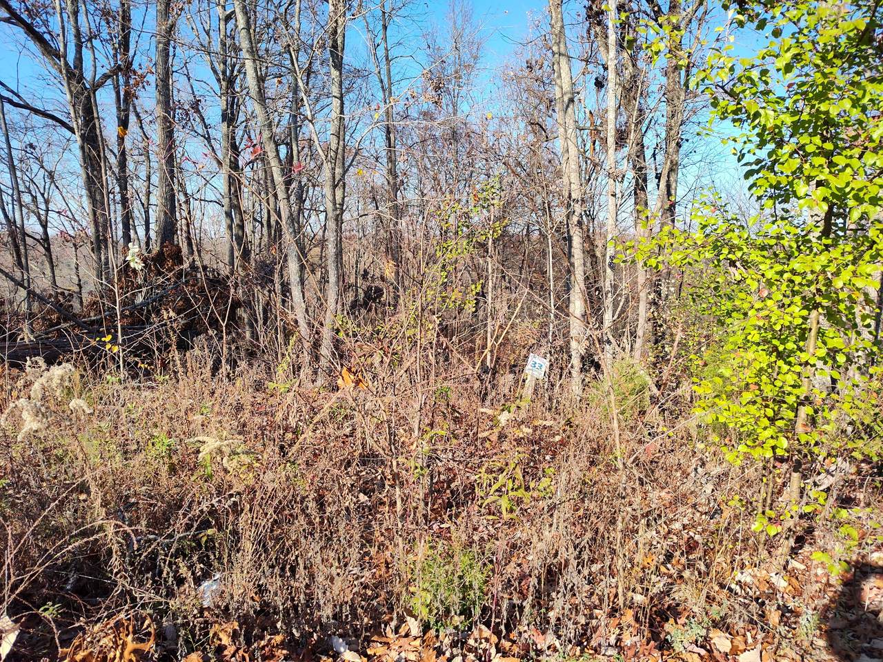 33 Shiloh Lane - Photo 1