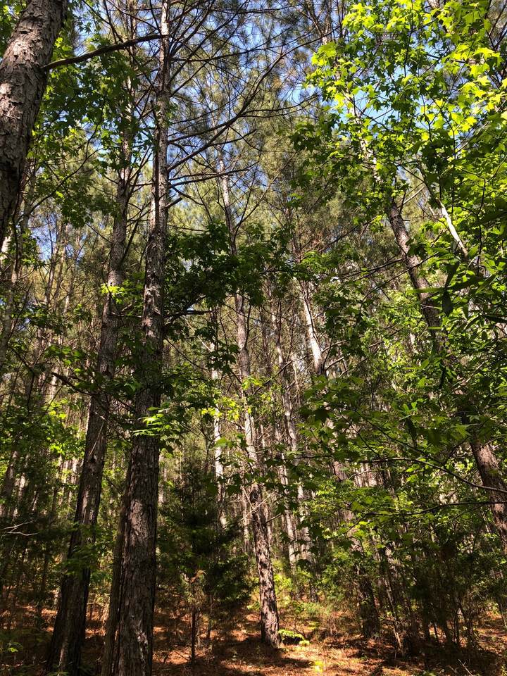 0 184 County Rd - Photo 1