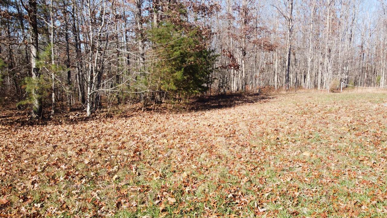 117 Camp Creek Dr - Photo 1