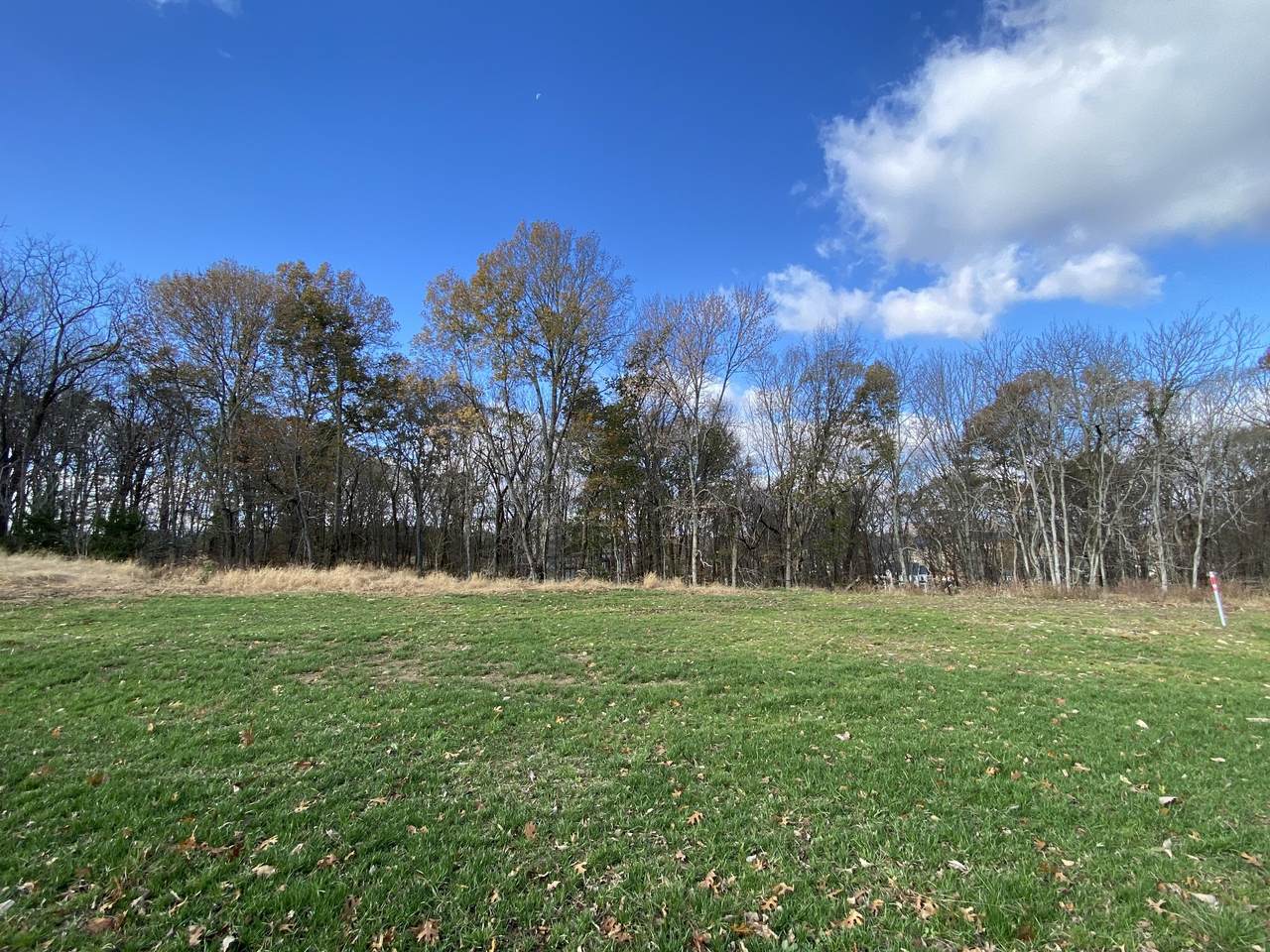 8513 Blanton Ct (Lot 16056) - Photo 1