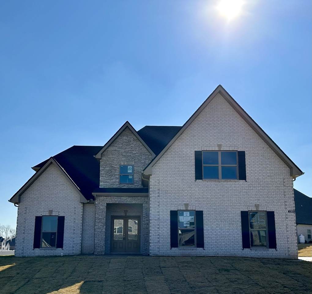 1203 Emmie Reece Drive - Photo 1