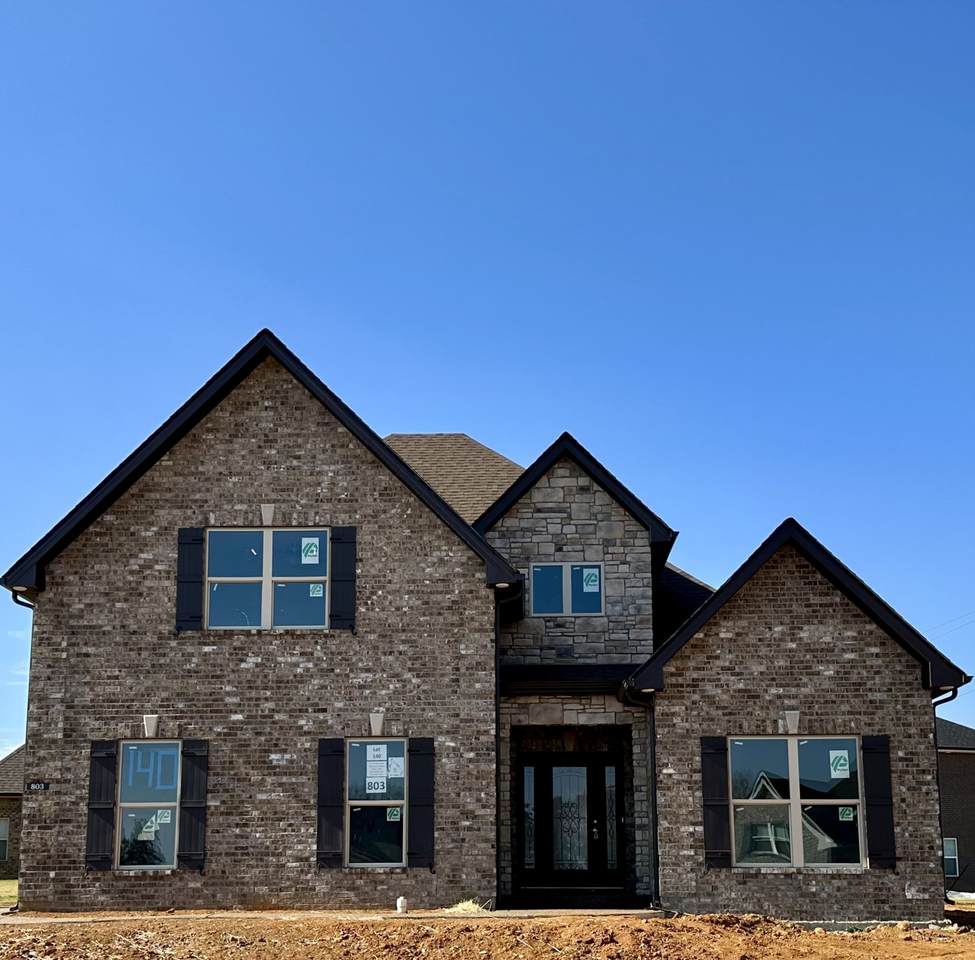 803 Lilly Evelyn Court - Photo 1