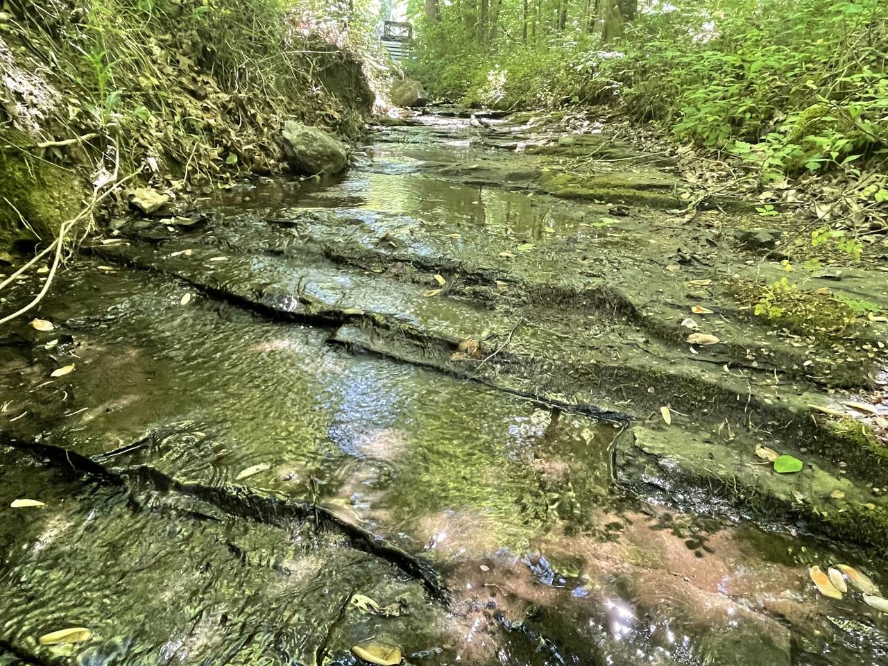 0 Weakley Loop - Photo 1
